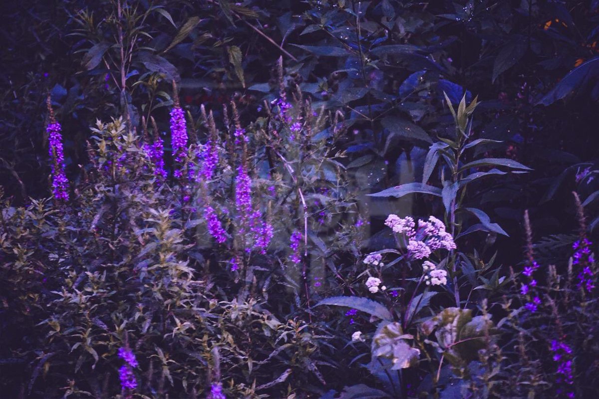 EcoSoulSW's tweet photo. The first drop has been shipped and shirts will be distributed to people that pre-ordered soon🌎

Here’s an example of something you might see in an upcoming drop 🔥

📸: @highlight_higgy https://t.co/X2cutduUhg