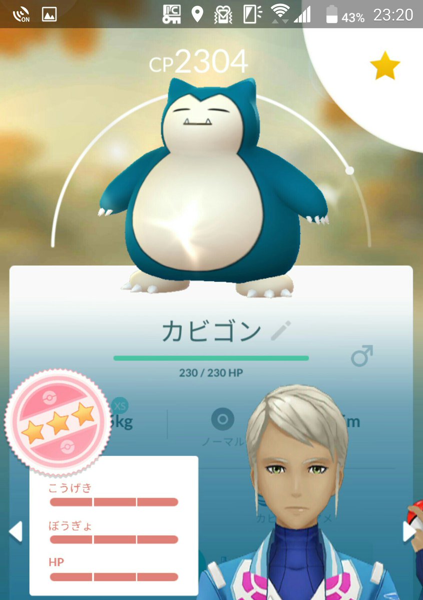 シャドウ ポケモン カビゴン