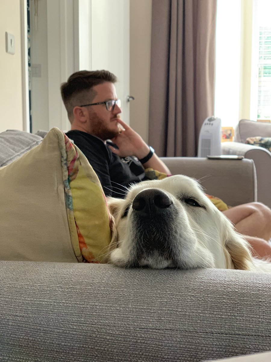 BentleyBeyond's tweet photo. Mummy stil wont let me sits on her....so I just stares insted https://t.co/5cOWj8t7N3