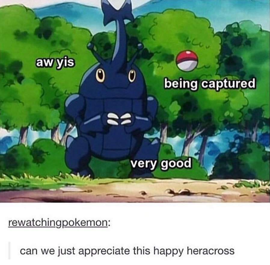 OoCPokemon's tweet photo. https://t.co/ooBZhVyfME