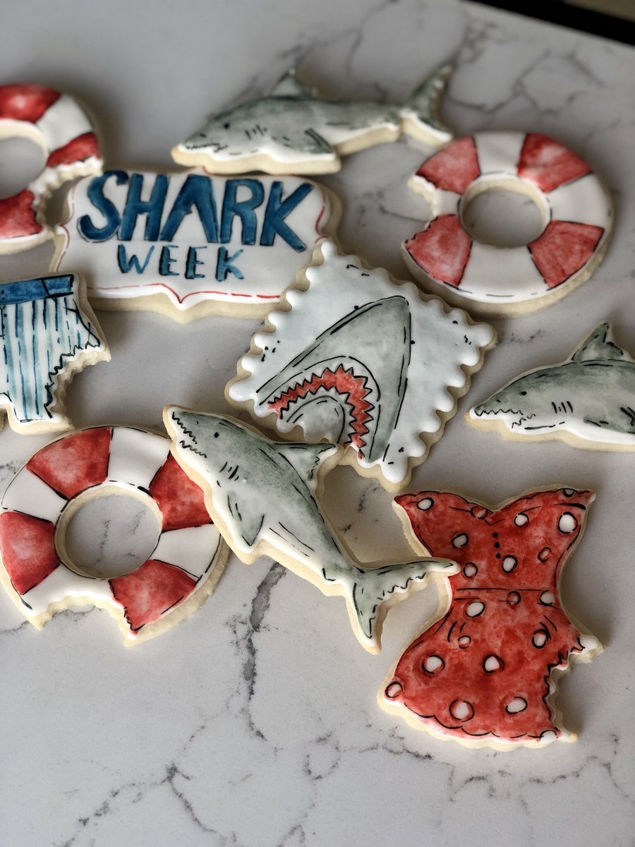 hcmenard's tweet photo. Happy Shark Week🦈 https://t.co/AjPCDHx1G7