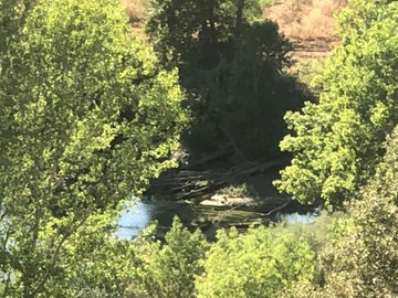 View image on Twitter