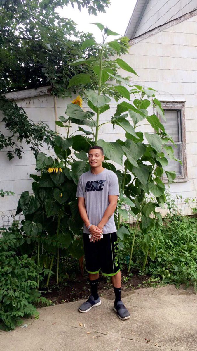 Air_Jordan2023's tweet photo. @sunflowerlust 🌻🌻✌🏽✌🏽 https://t.co/i80wax1X0Z