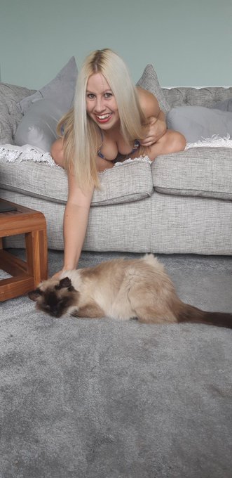 Having a purrfect #Caturday https://t.co/qOMoFCF9xj<a href="/tag/caturday"class="tags">#Caturday</a>