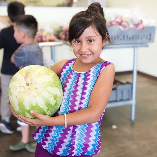 FeedingAmerica's tweet photo. Happy #WatermelonDay! 🍉🍉🍉 https://t.co/I9UnxQVb8L