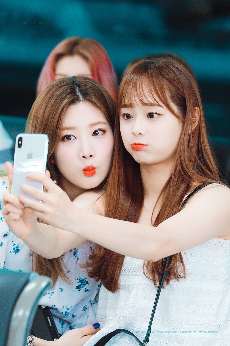 locomotion🌙 tweet media