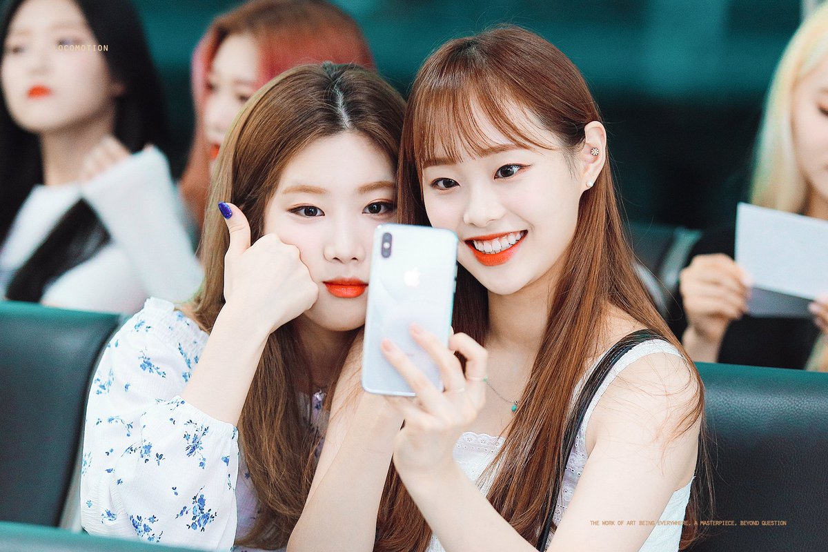 locomotion🌙 tweet media