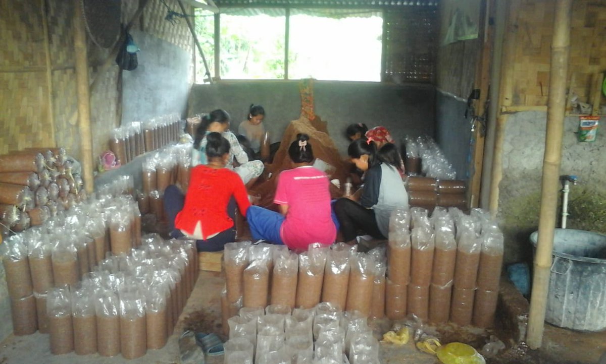 Industri rumahan yg berdampak langsung dng warga sekitar. Rumah produksi anggota koperasi tani jamur banten