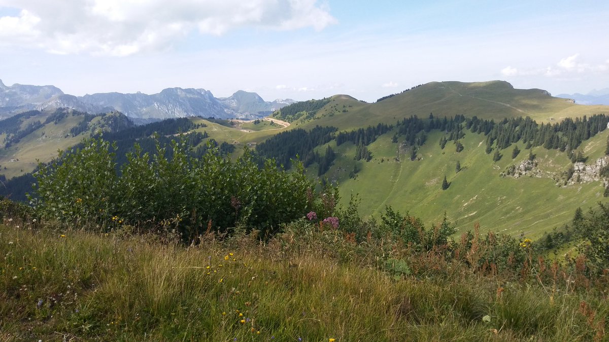 _wrzlbrnft_'s tweet photo. #Morclan. Blick zurück zum Tête-du-Tronchey, bevor es per Sesselbahn runter nach Super-Châtel... https://t.co/pGAhdYwKKb