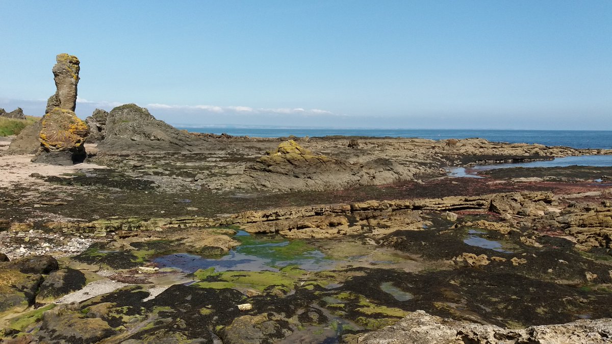 udemsar's tweet photo. Planet Plastic: a ten minutes spontaneous pick-up on the remote Rock and Spindle beach generated this much mini plastic. 🤤 Lots of large items still there, an ice tray for fish, broken lobster crates, coils of plastic rope. #WalkFife #FifeCoastalPath #PlanetPlastic https://t.co/RdewAlagru
