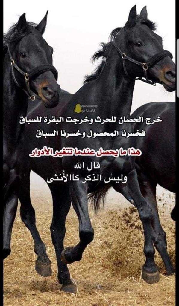 16alameri's tweet image. 