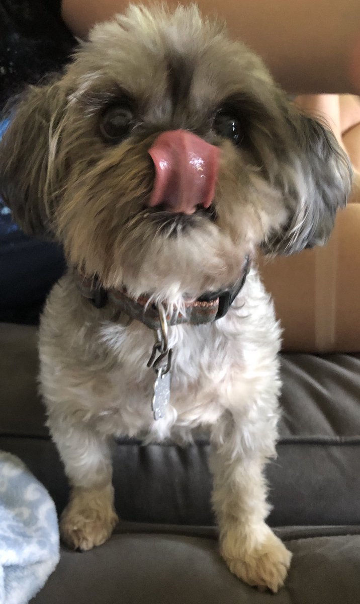 klf113's tweet image. #WhatIPlanToDoToday ... lick stuff