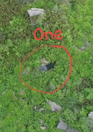 ANI's tweet photo. In the last 36 hours, Indian Army has foiled an infiltration attempt by a Pakistani BAT (Border Action Team) squad in Keran Sector. 5-7 Pakistani army regulars/terrorists eliminated, their bodies are lying on the LoC, not retrieved yet due to heavy firing. (Source: Indian Army) https://t.co/gBa89BuQ0M