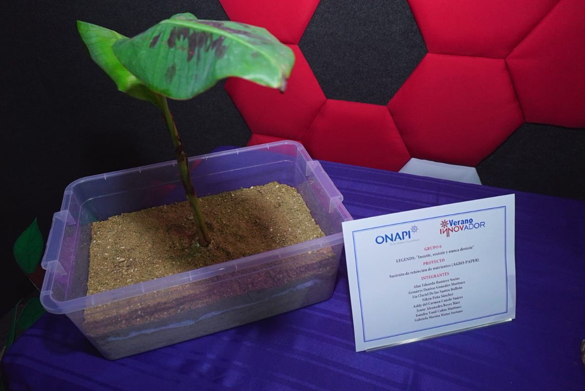 VeranoInnovador's tweet photo. El grupo "Legends" presenta su #ProyectoInnovadorCVI: Sustrato de Retención de Nutrientes (Agro-Paper), para el cual utilizaron la información de patente del:

MULCHING COMPOSITE  

No. Solicitud: ES2174074 (T3) 
Solicitante: DALEBROUX DEAN y SANDS PEGGY 
https://t.co/BmO0Hb6V7W https://t.co/cbXAS51Fku