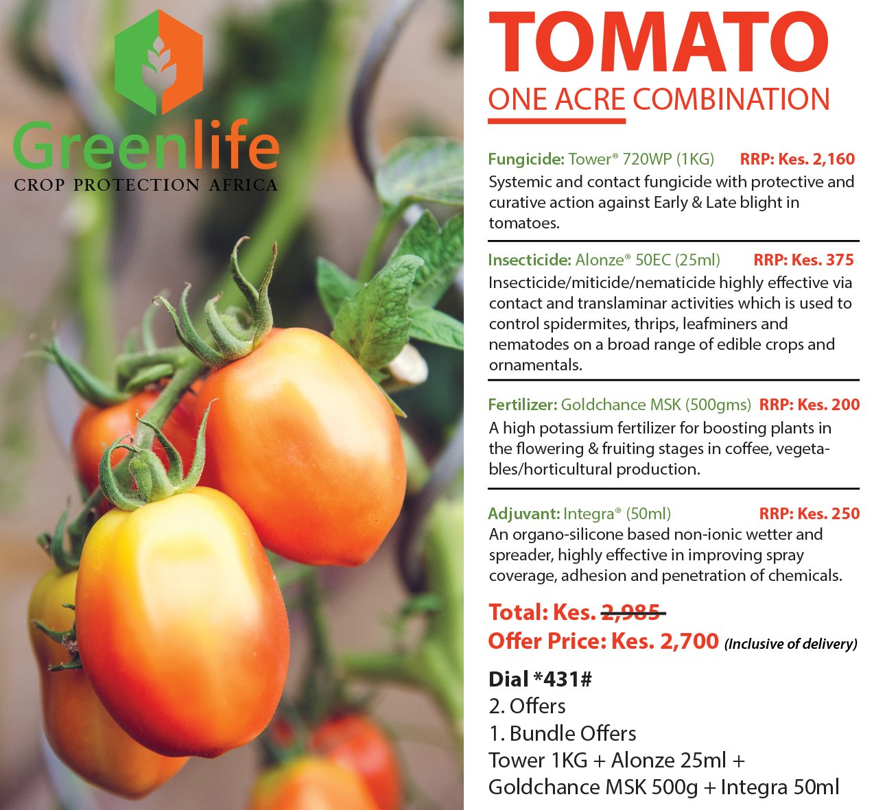 Tomato Information In Marathi werohmedia