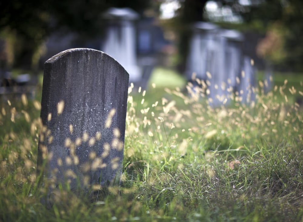 basescore's tweet photo. ICO Market is Dead: Crypto Investor Barry Silbert https://t.co/dVTu41Vgj8 https://t.co/mQ4JPnOyso