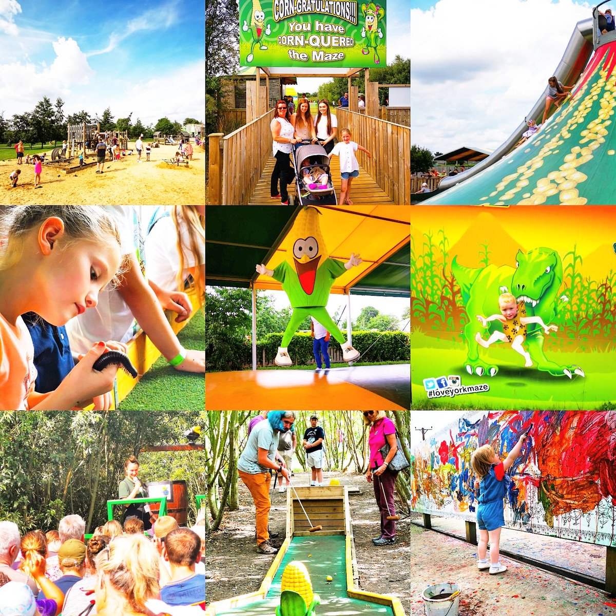 York Maze tweet media
