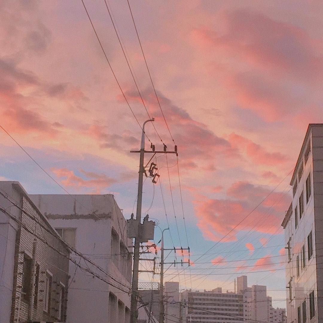 บุเรงนอง♤/เรียน tweet media