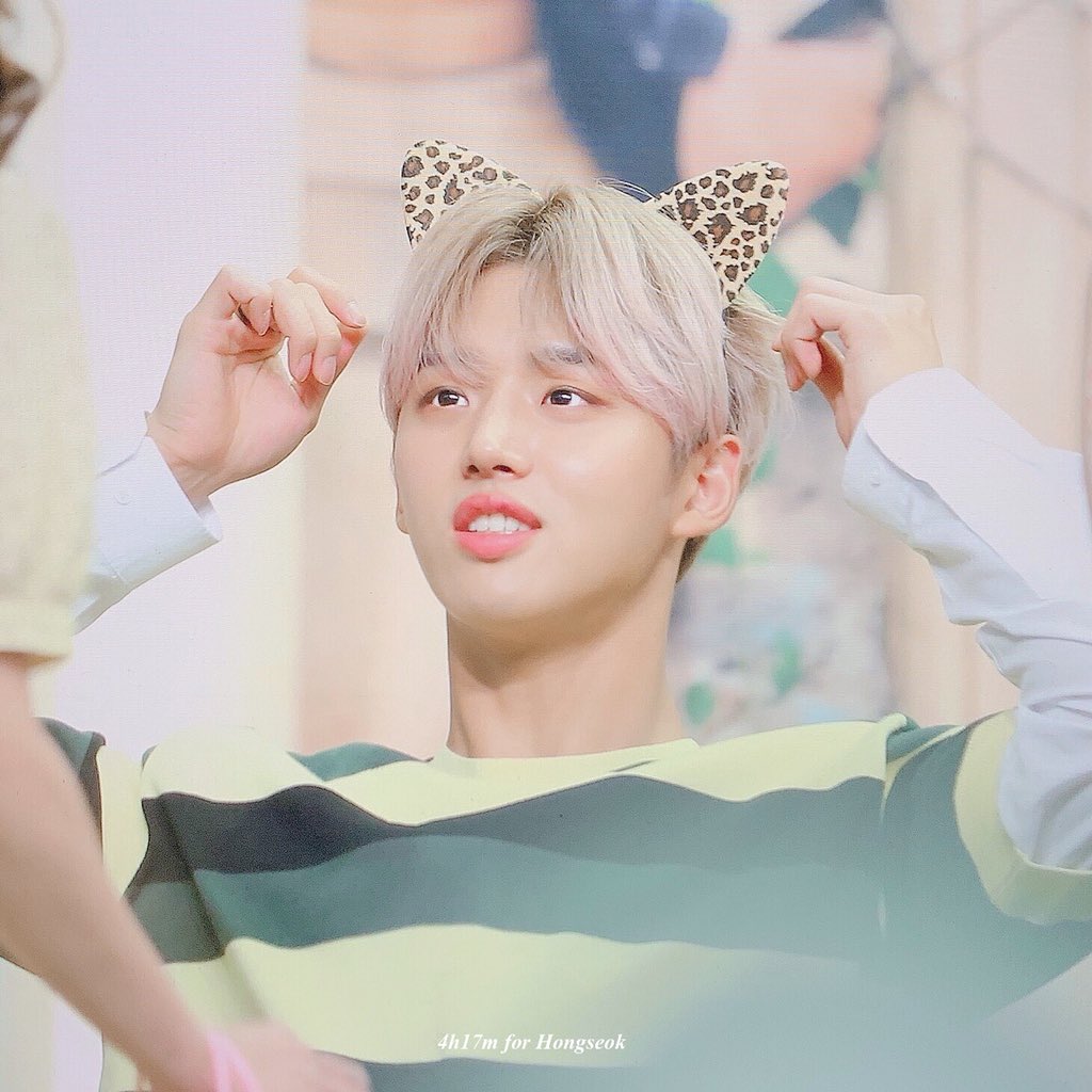 4h17m's tweet photo. 190803 🐱

#펜타곤 #PENTAGON #홍석 #양홍석 https://t.co/DSmZp7cRQv