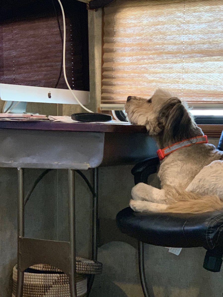 Checking my social media