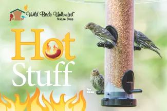 wbujax's tweet photo. All hot pepper seed and suet on sale now through August 12th. #feefthebirdsnotthesquirrels #backyardbirdfeeding #wildbirds #birdyourworld https://t.co/S6IiUr5krq
