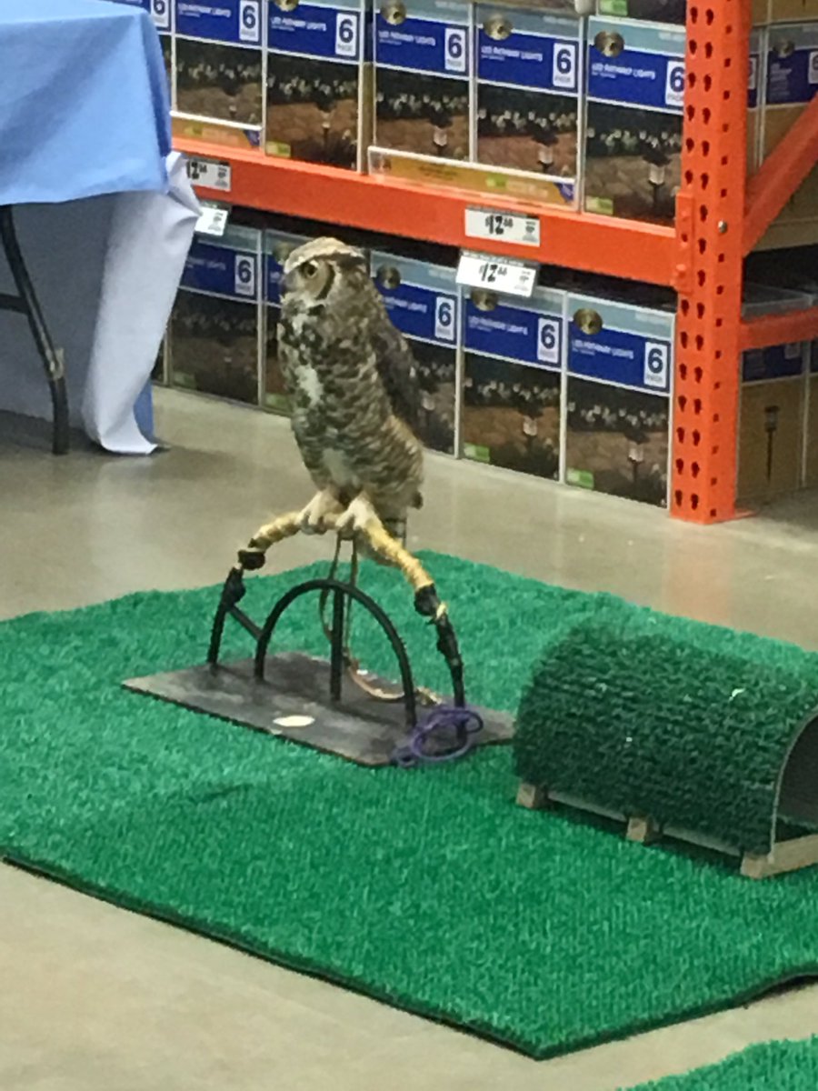 Mason Osato (@masonosato) on Twitter photo Military appreciation event got some special guests 😁 <a href="/CampSweenScott/">Scott Sweeney</a> <a href="/jennkbauer/">jennifer bauer</a> <a href="/kstolie/">Kstolie</a> <a href="/Dorfie96/">Kevin Dorf</a> <a href="/HanzlikJoe/">Joe Hanzlik</a> Military appreciation event got some special guests 😁 <a href="/CampSweenScott/">Scott Sweeney</a> <a href="/jennkbauer/">jennifer bauer</a> <a href="/kstolie/">Kstolie</a> <a href="/Dorfie96/">Kevin Dorf</a> <a href="/HanzlikJoe/">Joe Hanzlik</a>
