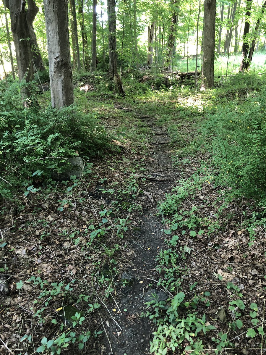 rorishapiro1's tweet photo. Little trail by my house. Old foundations and broken car parts it looks like. Also old pottery shards and glass.
#ridgefieldct #ridgebury #historicCt #naturewalk #naturetrail https://t.co/s3cKpRz5S7