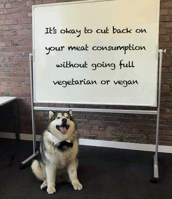 Hot Dang is delicious and nutritious, whether you're a dedicated vegan or someone who still enjoys a farm-to-table steak from time to time!