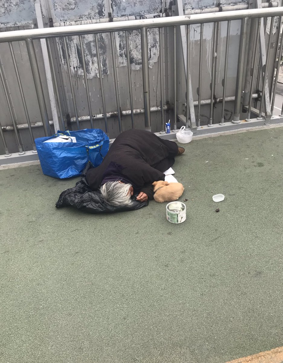 (7)Homeless people have puppies that they sell. There are secret puppy mills that they get them from for extremely cheap and they sell them on the street to get money. People feel bad for the puppy so it usually leads to more people giving them money too