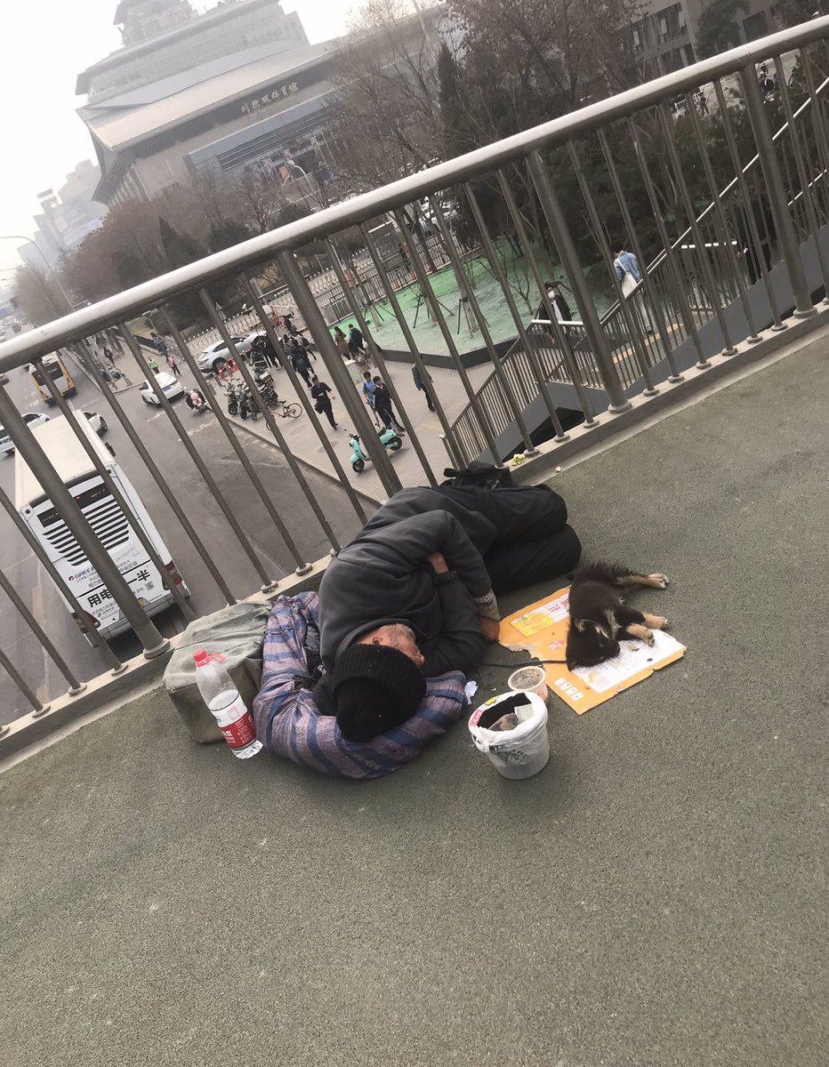 (7)Homeless people have puppies that they sell. There are secret puppy mills that they get them from for extremely cheap and they sell them on the street to get money. People feel bad for the puppy so it usually leads to more people giving them money too