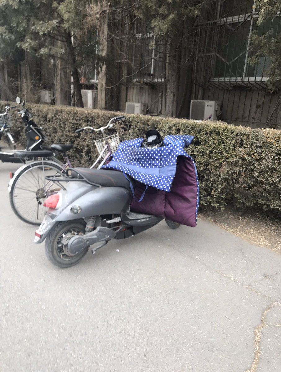 (2) Most people don’t drive cars bc it’s extremely expensive and also inconvenient to have in a big city so instead they drive ebikes or just ride normal bikes! In the winter they even have bike jackets that cover their body when riding