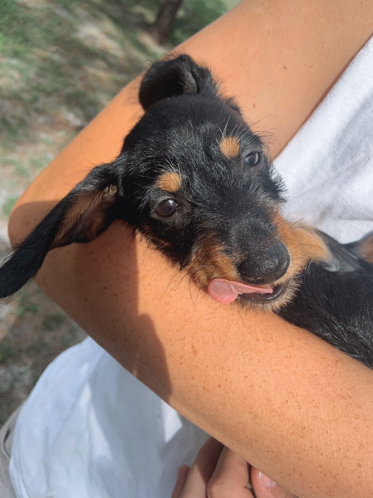 expectation vs. reality 🤣💕