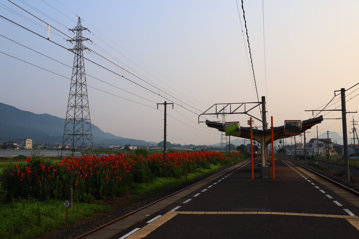 stsht0306's tweet image. 本山駅からおはようございます
朝からしっかり20分歩いて宿から駅に到着、それだけで疲れてしまいます
立派な駅舎はかつてうどん屋が併設されていたようです
綺麗な花が植えられていて、朝の陽に包まれた穏やかな駅でした
#2019年8月永和の西讃旅行 #本山駅
