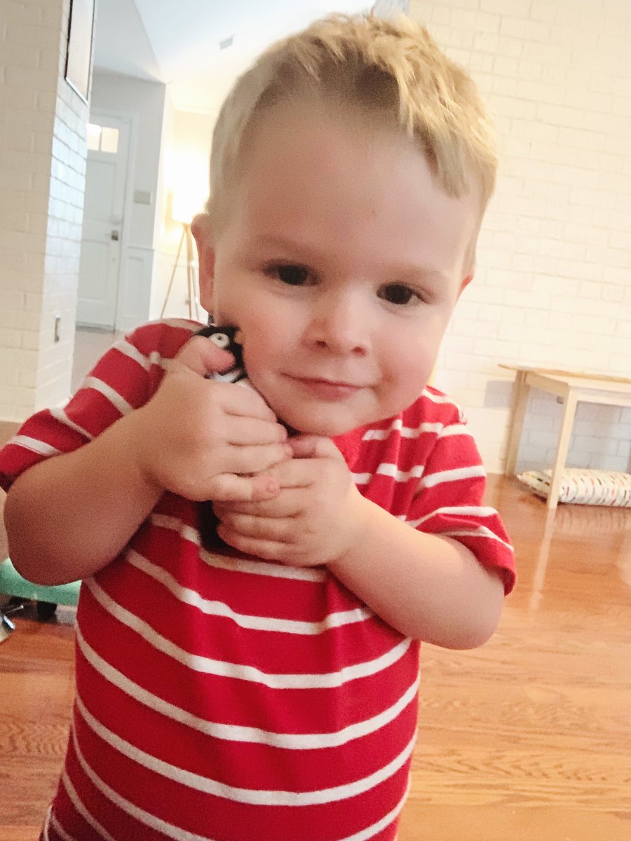 Shannon Charnes tweet media