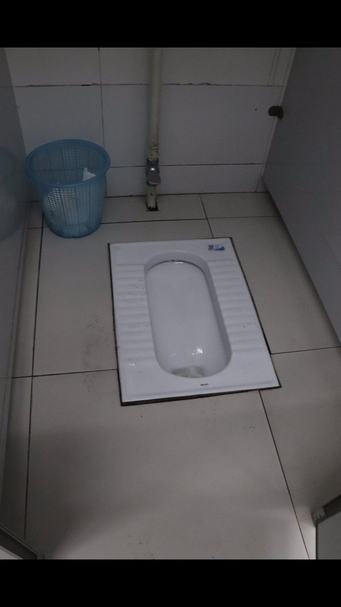 (5)Squattie potties!! These are the public bathrooms in China. Wayyy more often than not I would have to bring my own toilet paper bc there was none and also no soap or paper towels. It also would always reek of piss in the bathrooms and I’d have to hold my breath