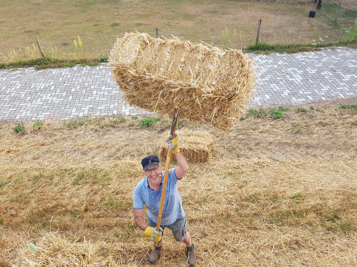 djtijken's tweet photo. Mijn jaarlijkse #bootcamp ook weer gehad. 150 #strobalen laden bij neef Mark, samen met zijn broer en vader.
Ik mocht ze alle 150 opsteken. 💪
#oogst #boerenleven #krachtoefening #ikkanhetnogsteeds
Bedankt voor de mooie foto's, Jaap en Wouter. 👍😎 https://t.co/jg0rgeendU