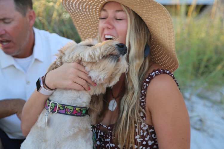 abbygrxce's tweet photo. progression pics of me trying to teach nova to stop smelling my blood sugar for a sec and look at the camera https://t.co/m9xDlkH2AN