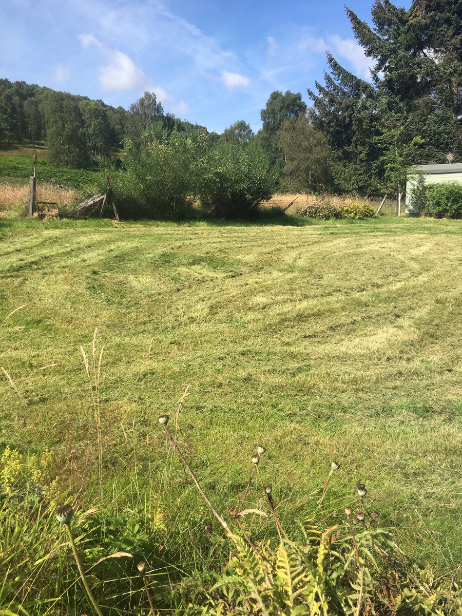 ICDunkeld's tweet photo. Delighted that my first efforts on the ride on mower have been matched by @Max33Verstappen !
Glad you are covering it @C4F1 @SteveJones https://t.co/kRD1BflCjt