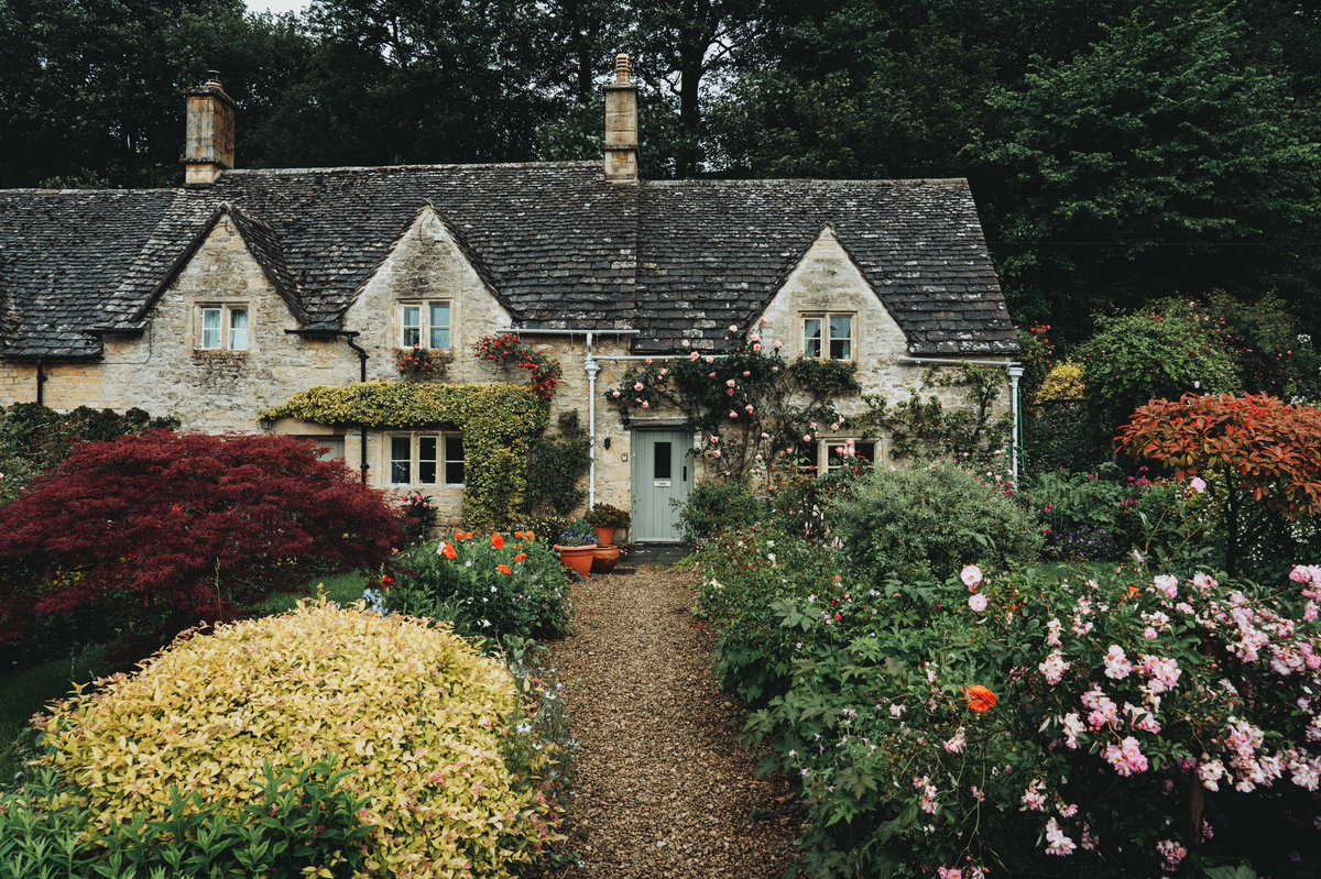 DanielCasson1's tweet photo. Village Life https://t.co/a8h2uxLUvn