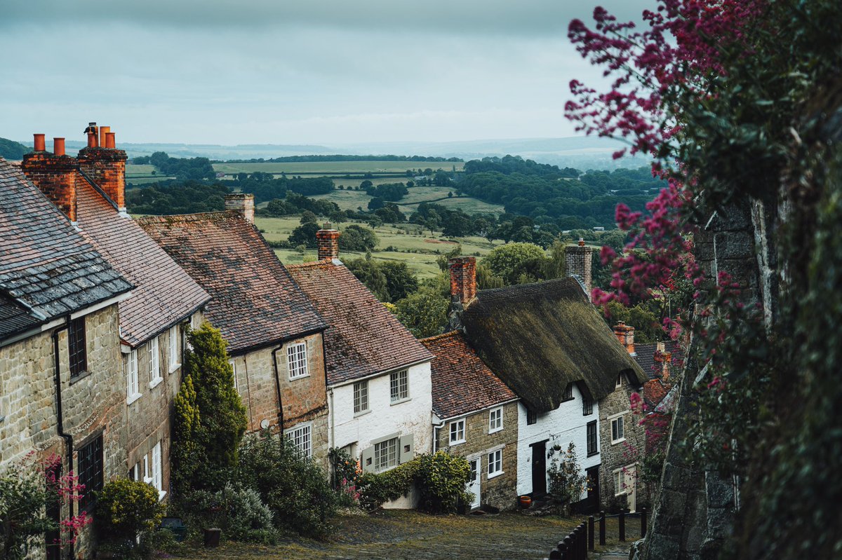 DanielCasson1's tweet photo. Village Life https://t.co/a8h2uxLUvn