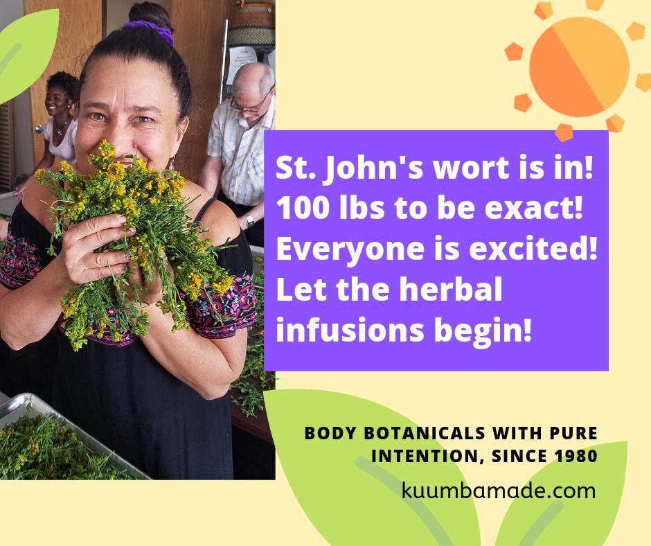 KuumbaMade's tweet photo. At Kuumba Made we've been growing, wild harvesting, and sustainably sourcing plants for our botanical bodycare products for almost 40 years.  We love what we handcraft and we're glad to share our nurturing products with you all!

https://t.co/Lwndn2j0KW https://t.co/6tGQ0fKDF1