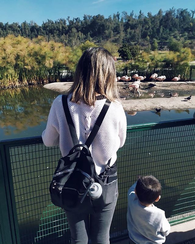 Ser mamá de Martín es lo más increíble que me ha pasado en mi vida 💛 ift.tt/2yBkmaM