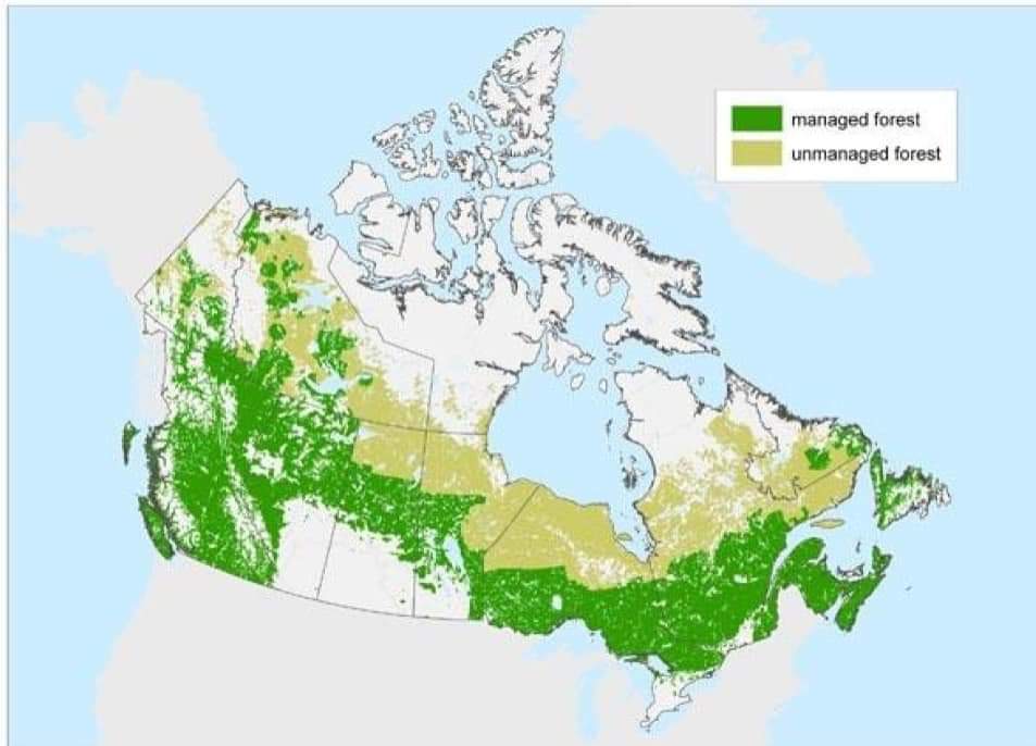 Природные зоны страны канада