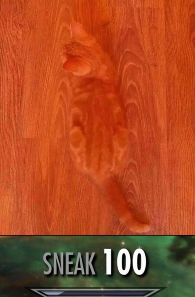 EBEFoW1WsAAZHLJ?format=jpg&name=medium