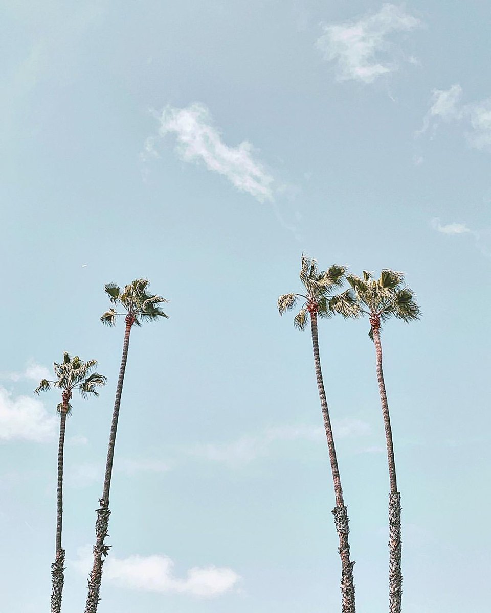 youminimalism's tweet photo. https://t.co/qDtJjfEzBG