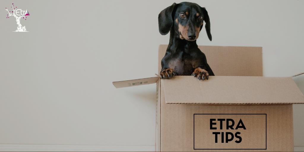 EtraMexico's tweet photo. ¡ETRA TIPS! 💡

3 increíbles tips para mantener tu cocina arreglada 🍴

1. Organiza tus alimentos por fecha de caducidad  📅
2. Acomoda tu vajilla conforme a lo que más utilizas 🍵
3. Utiliza un cajón para acomodar tus especias 🌶️

#DaleCalma, en Etra estamos para ayudarte.👌 https://t.co/PFVlCGr7iU