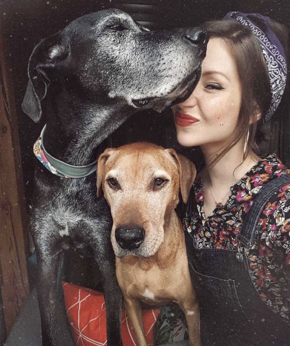 FrecklesFancy's tweet photo. My best friends, my therapists, my confidants, my family, my saviors, my life, my loves, my heart. They are everything to me. They saved my life.
Post your pets..I’d love to see them...
#dogs #mydogs #mydogsmylife #dog #rescueddogs https://t.co/NNe9XFyzBE