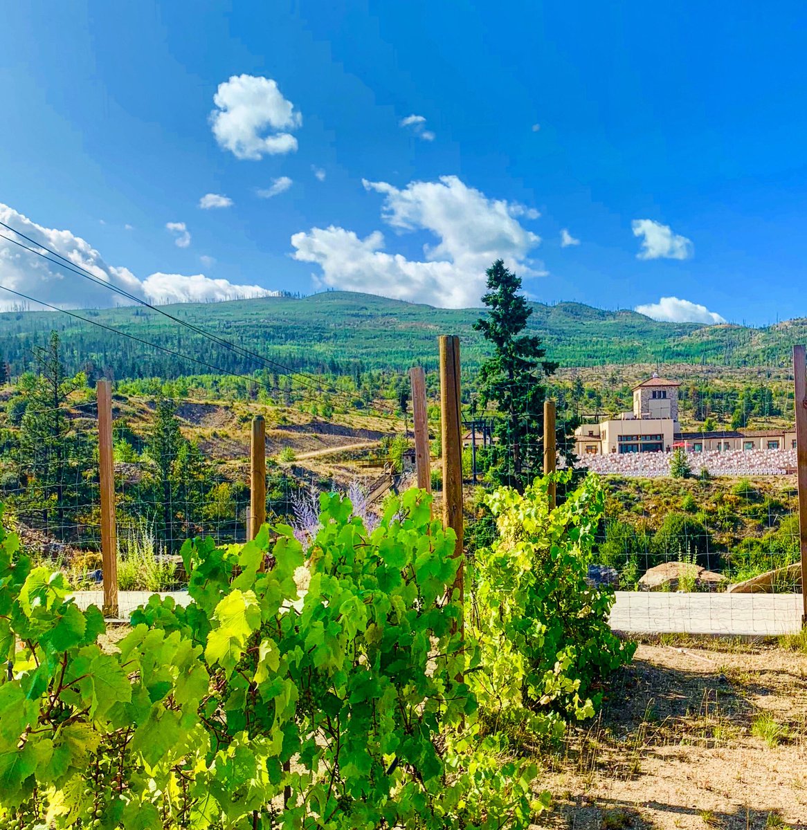 kelownamountain's tweet photo. #kelownamountain is open 10-5 Saturday and Sunday ! Enjoy this beautiful long weekend! ☀️🌲🏔 https://t.co/quzUoB6Nn1