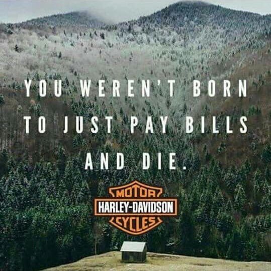 DKCustom1's tweet photo. Ride On!

#moretolife #rideon #ridenow #ridefree #rideoften #harleydavidson #motorcycles #bikerlife #harleylife #lifebehindbars #ftw #rideordie #justride #motorcycle #road #time #roadtrip #dkcustom https://t.co/YGG4no2iFa