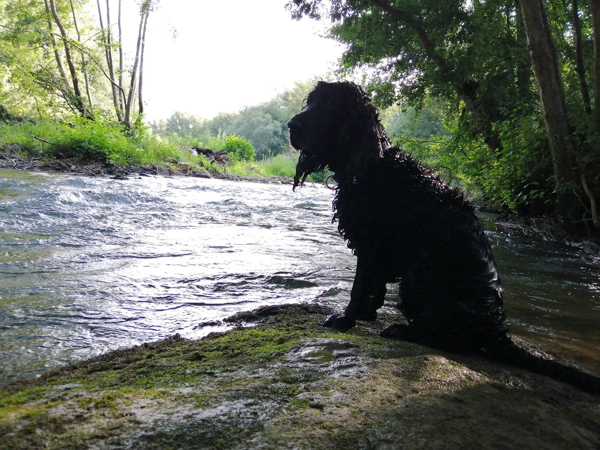 We have been silent 🙄
#onesies are taken care of.
Living life, #roadtripping Europe 😉
#france #eddie #roadtrip #afreaka #afreakaSa #longvacation #lovelife #livinglife #zen #gaia #love #life